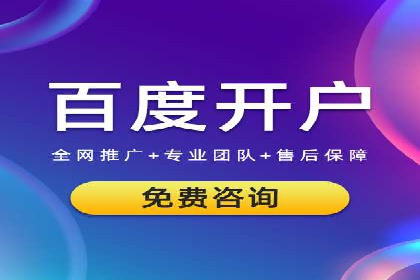 网络推广与竞价策略实战案例